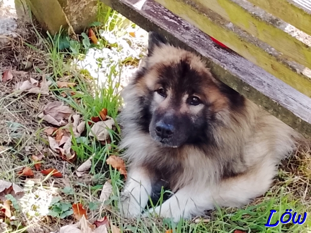 1.11.2025 - Zuviel Sonne